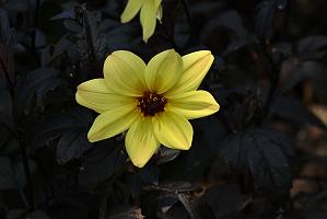 2025-08039847 Tower Hill Botanic Garden, MA